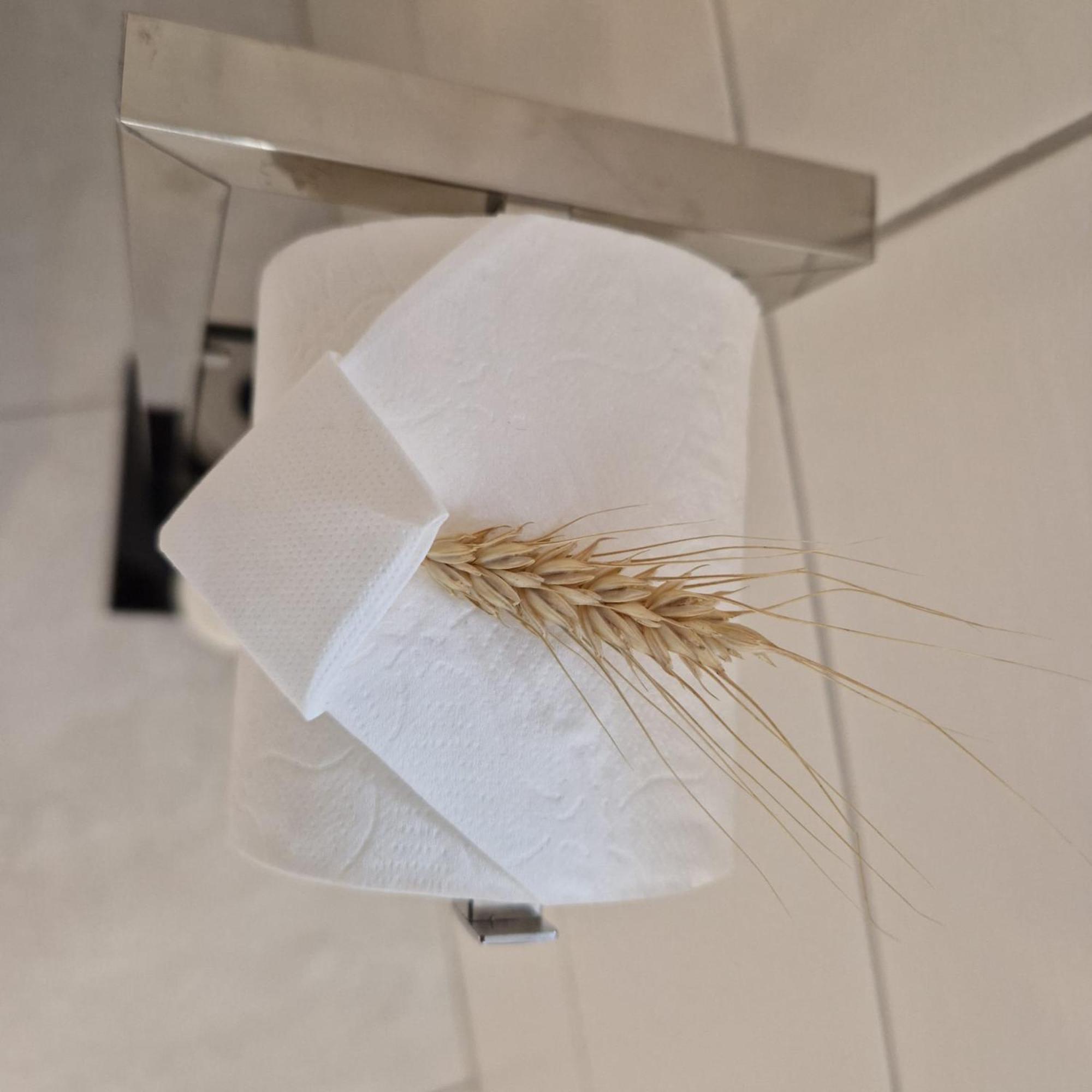Chambres D'Hotes Chez Linda Stephane Le Passe Compose Preuschdorf Dış mekan fotoğraf